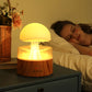 RainAura Ultrasonic Diffuser – Cloud Mist & Mood Light